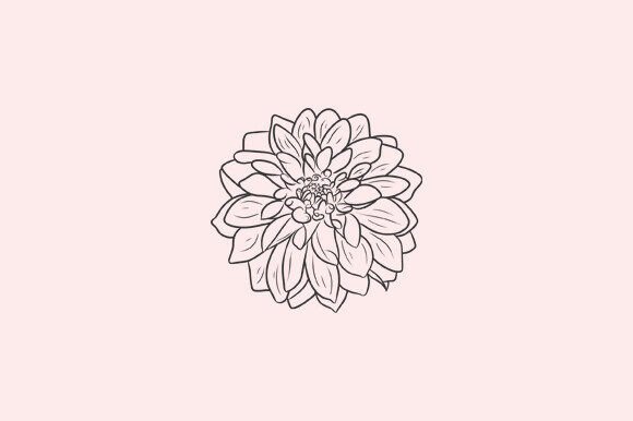 Elevate Your Visuals with Dahlia Flower Line Art