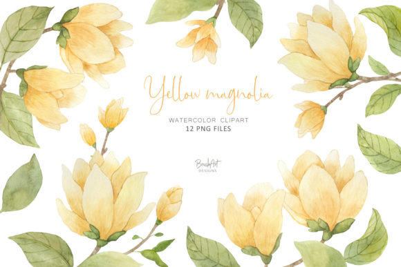 The Warmth of Watercolor Yellow Magnolia in Your Designs