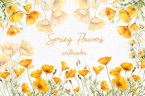 Wild Floral Clipart Orange Flowers: Vibrant Watercolor Assets